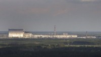 В Киеве откроется представительство Чернобыльского заповедника